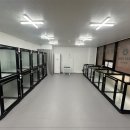 멍케어존 이미지