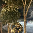 평인일주로 | 통영 평림동 단체펜션및 독채펜션을찾으신다면? [통영자연인관광펜션]으로 오세요