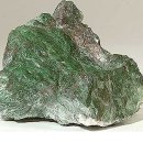 옥바이오 이미지