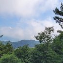 지리산1박2일펜션 | 🌿 지리산 1박 2일 힐링 주말코스