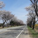 삽교주유소 이미지