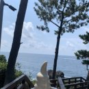 낙낭회센타 | 여름 제주 여행 #3_대포 해안 주상절리대, 중문 숙성도, 소천지, 낙낭회센터, 연돈 예약