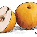 백세시대 이미지