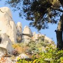 덕순 Daum카페