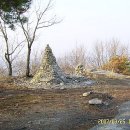 제229차 토요산악회(천안/아산)토요산행-2008년7월5일 아산시 월라산(247m)->황산(347.8m)->금암산(318m) 산딸기산행 이미지