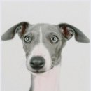 믿음병원 이미지