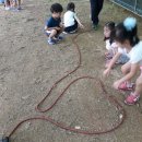 춘천유치원 이미지