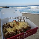 낭만닭강정 | 강릉 강문해변 닭강정 맛집 강릉감자닭강정 포장 후기