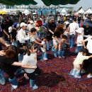 마도문화센터 1층 다목적강당 | 2026 화성송산포도축제 일정 프로그램 주차 꿀팁 및 가요제 안내