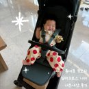 문스하우스 | 룸]*내돈내산* 실버크로스 니아 휴대용 유모차 후기 베이비하우스 청주점│부가부 버터플라이2│줄즈...