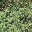 하곡농장 이미지