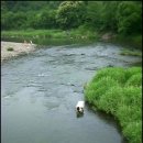 충청대학 부동산지적과(산업체반) 여름 야유회 알림 이미지