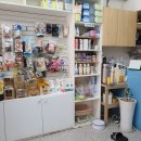 똥강아지애견샵 이미지