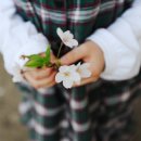 동네놀이터 이미지