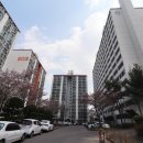 주공3단지공인중개사사무소 이미지