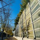 윤안과의원 | 경산 속눈썹펌 잘하는곳 속눈썹펌 맛집 눈매맞춤 컬링 받은 &#34;뷰티윤&#34; 후기