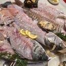 오륙도회센타 이미지