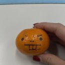 효식농장 네이버블로그