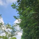 약골자전거도로 이미지