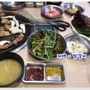 어리닭