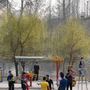 강변체육공원 이미지