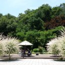 부천자연생태공원 이미지