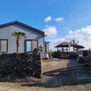 복순이네 이미지