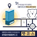 샤르멍 이미지