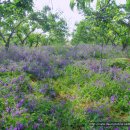 새실농장 이미지