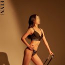 동남의지 이미지