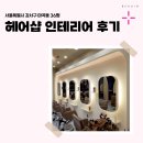 강서구-36 이미지