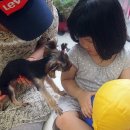 별이랑 놀자 이미지