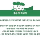 미유펫동물병원