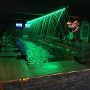 미췬물고기 이미지