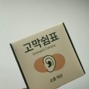 쉼표 | [수면귀마개] 수면귀마개 추천 _ 고막쉼표 사용 후기