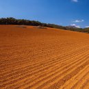 신현대한의원 이미지