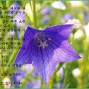 동화지 이미지