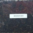 수원-0909 네이버블로그