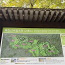 (주)락소프트 | [등산] 10월/도봉산/단풍산행/우중산행/다락능선/포대전망대/Y계곡/신선대/마당바위