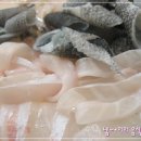 유달식당 이미지