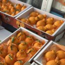 선린내과의원 | 15. 제주도(3)