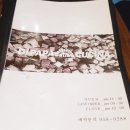 파파쿠치나 이미지