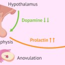 피트니스 오름 이미지