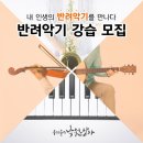 반려악기 우쿠렐레 이미지