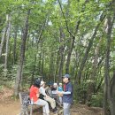 8월16일 강남명품숲길 대모산(새벽이님 리딩) 이미지