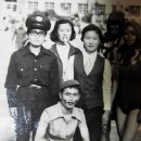 꼴두바우 Daum카페