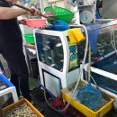 격포항 수산시장 1층 이미지