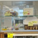 화성시청 이미지