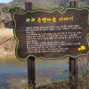 힐링비만