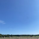 종은목장 3 | R. 제주도 한달살기｜16개월 아기와 함께한 삼다수목장 단거리 승마 체험 후기 🐴